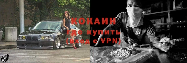 индика Новодвинск
