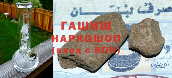 индика Новодвинск