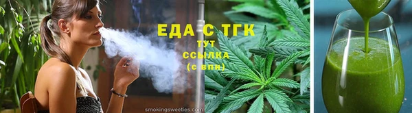 индика Новодвинск