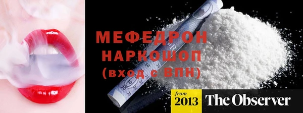 индика Новодвинск