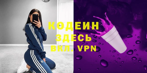 индика Новодвинск