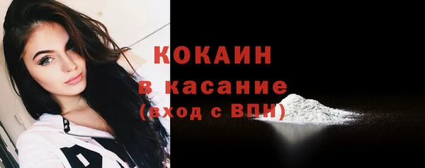 индика Новодвинск