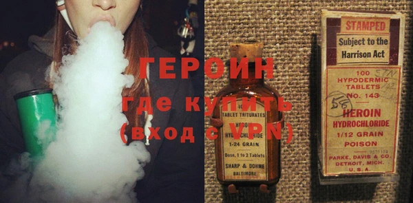 индика Новодвинск