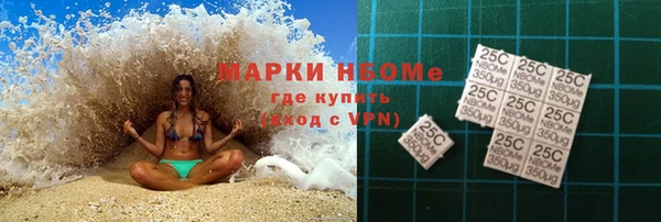 индика Новодвинск