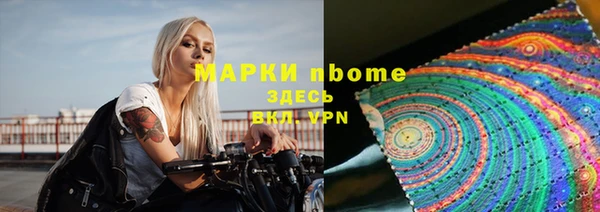 индика Новодвинск