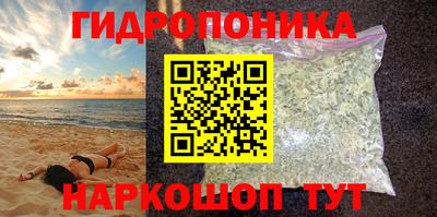 крисы Балахна
