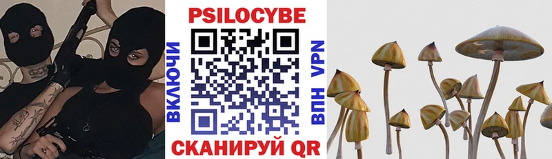 Псилоцибиновые грибы GOLDEN TEACHER наркота Вольск
