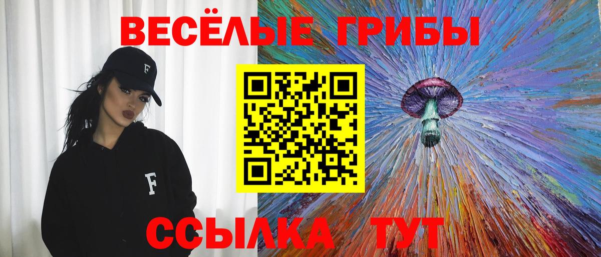 цена наркотик  Галлюциногенные грибы Psilocybe  Вольск  Галлюциногенные грибы Cubensis 