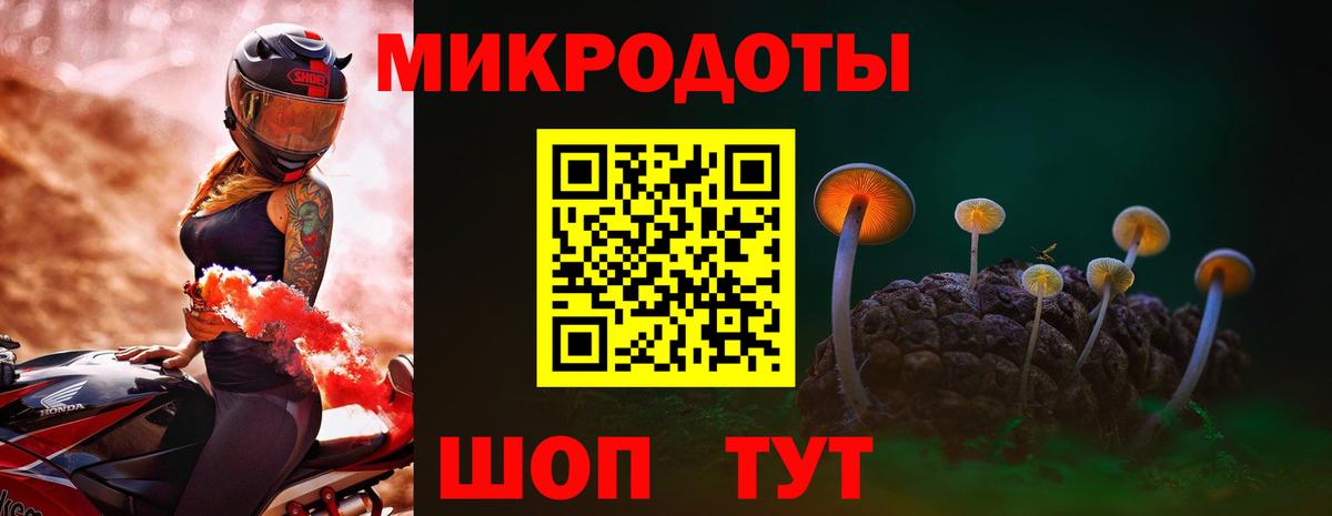 Галлюциногенные грибы Psilocybe  купить наркоту  Вход с VPN  Вольск  Псилоцибиновые грибы мухоморы 